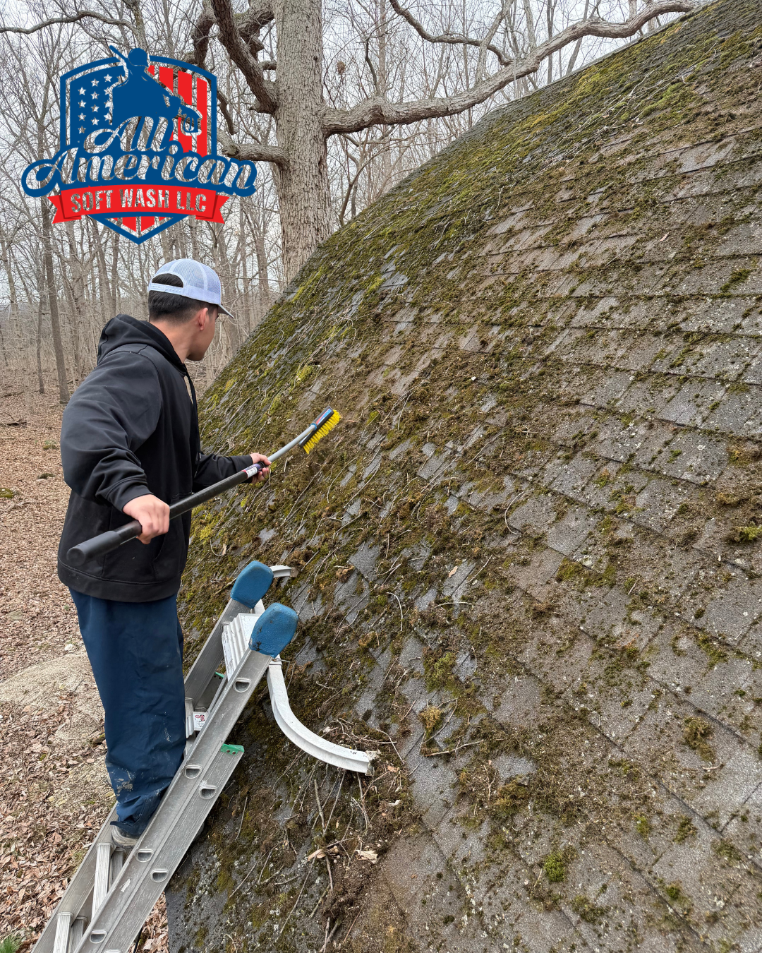 Roof Cleaning in Toledo Ohio (1)